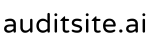 auditsite.ai Logo